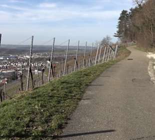 Wanderung Florianrunde