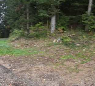 Burgruine Hohenschramberg