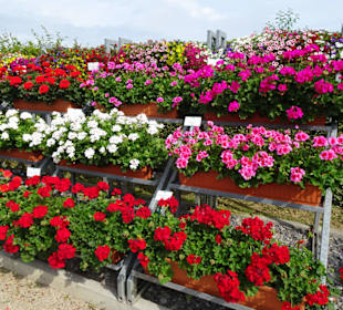 Eindrücke vom Rundgang durch den Park der Gärten