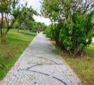 Aufgenommen vom 23.-29.11.2013