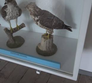 Museum Rosenburg