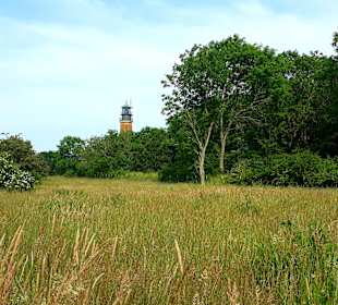 Apollo Tagestour zur Greifswalder Oie 