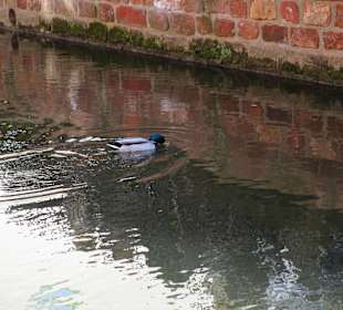 Wasserfall in der Stadt