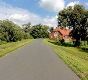 Radweg auf dem Wümmedeich durch das Blockland