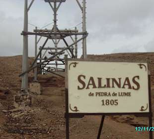 Salinas