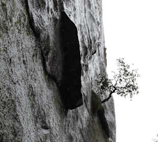 Yosemite Nationalpark