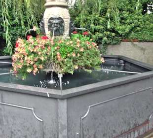 Erbiskasten Brunnen Ulm