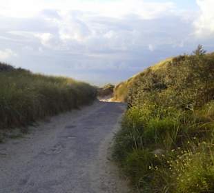 Dünenweg