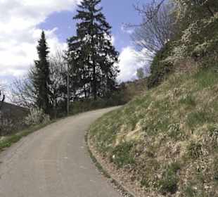 Friedhof Buttenhausen