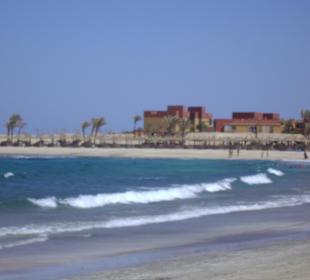 Abu Dabab bei den Wasserschildkröten und Seekühen