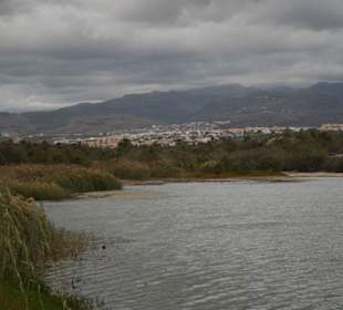 Naturschutzgebiet Maspalomas/Charca