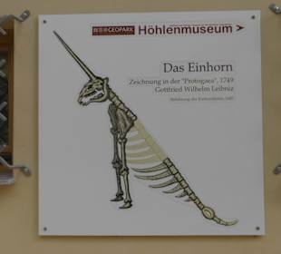 Die berühmte Zeichnung