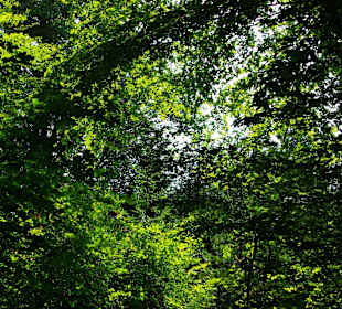 Das Affalterthal Sept. 2012