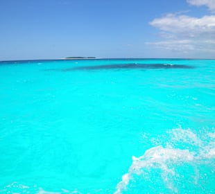 Mnemba