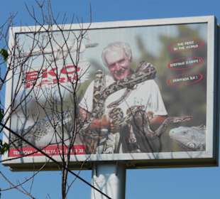 Herr Professor mit Schlangen