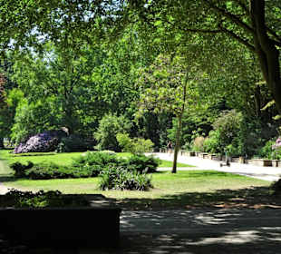 Eindrücke aus dem Alsterpark an der Außenalster