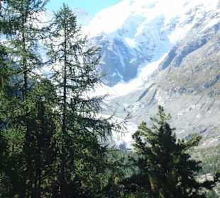 Ausblick aus dem Berninaexpress