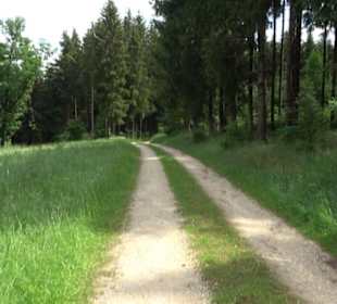 Premiumwanderweg "hochgehackert"