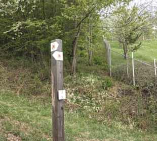 Wanderweg Firstwaldrunde