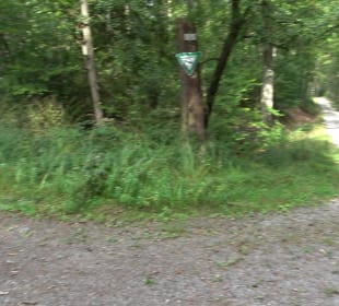 Wanderung Sulzeiche ins Schaichtal Walddorf