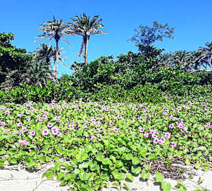 Stadtstrand Kenting City