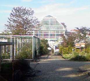 Botanischer Garten