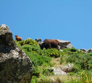An der Lev. da Bica da Cana, Südrand der Hochebene