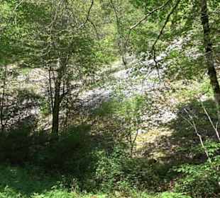Premiumwanderweg Hochgehschätzt