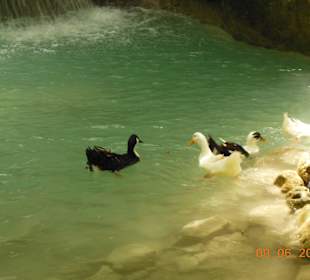 Wasserfall