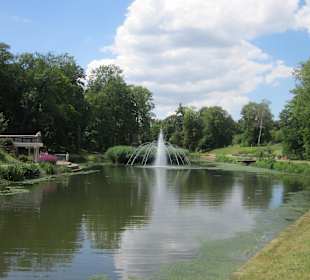 Schwanenweiher