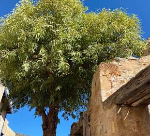 Insel Spinalonga / Kalidonia