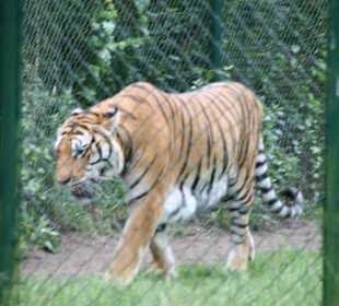 Serengeti Park Hodenhagen