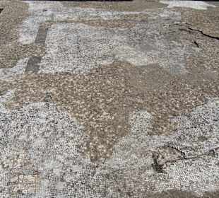 Dettaglio del mosaico