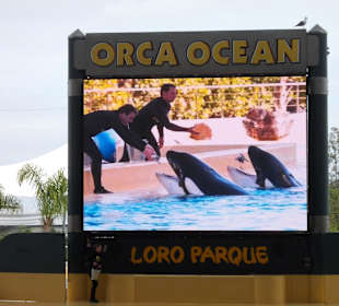 Loro Park