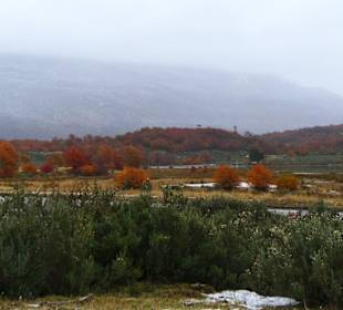 Parque Nacional Tierra del Fuego