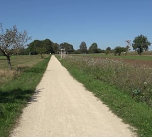 Elsachstadt Tor F Burrenhof Erkenbrechtsweiler