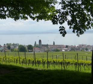 Wanderung über Höhenweg von Hagnau nach Meersburg