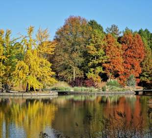 Rundgang durch den Botanischen Garten Hamburg