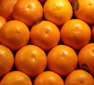 Wie gmalt präsentieren sich am Obstmarkt Bozen