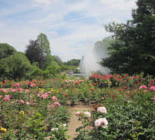 Rosengarten Zweibrücken