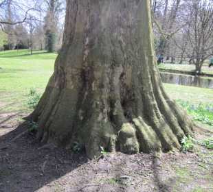 Schlossgarten Schwetzingen