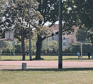 Tartanplätze