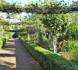 Eindrücke vom Rundgang durch Blandy´s Garden