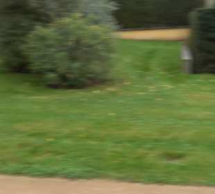 Garten Großbritanien