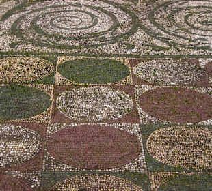 Bodenrekostruktion (3)