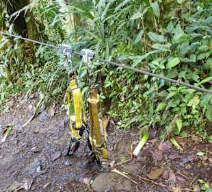 An diesem Geschirr hängt unser Leben