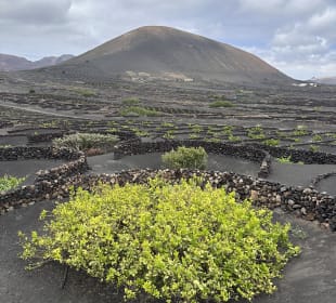 Ausflug nach Lanzarote
