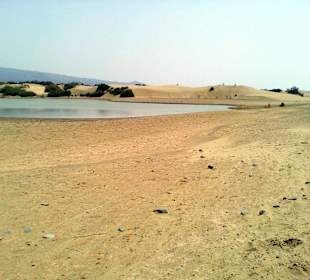 Dünen von Maspalomas