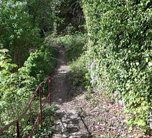 Wallersteiner Felsen