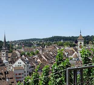 Munot Ausblick